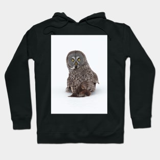 Great Grey Owl Hoodie